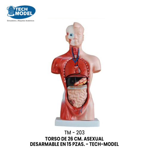 TM-203 TORSO DE 26 CM. ASEXUAL DESARMABLE EN 15 PZAS. - TM-203 - TECH-MODEL