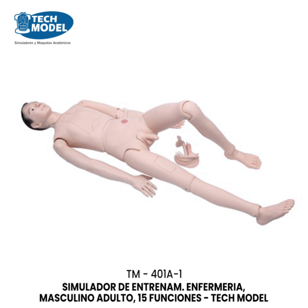 TM-401A-1 SIMULADOR DE ENTRENAM. ENFERMERIA, MASCULINO ADULTO, 15 FUNCIONES