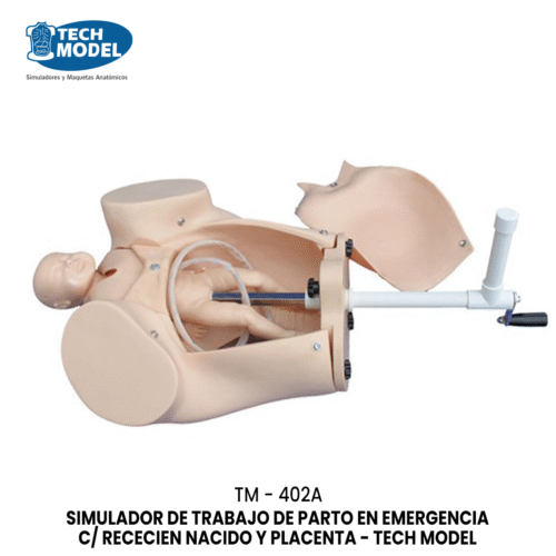 SIMULADOR DE TRABAJO DE PARTO EN EMERGENCIA C/ RECECIEN NACIDO Y PLACENT