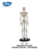 TM-103 45CM Mini Skeleton