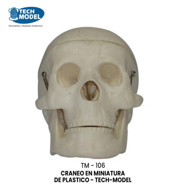 TM-106 Miniature Plastic Skull