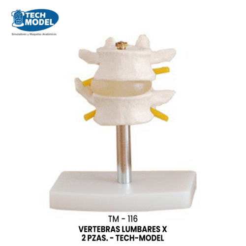 TM-116 TM-116 Lumbar Set