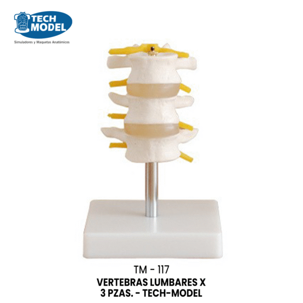 TM-117 Lumbar Set (3 pcs)