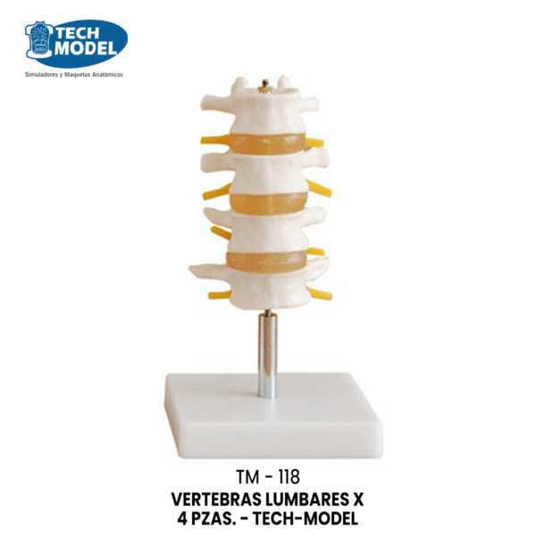 TM-118 Lumbar Set (4 pcs)