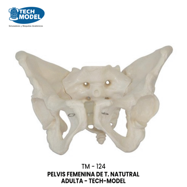 TM-124 TM-124 Adult Female Pelvis