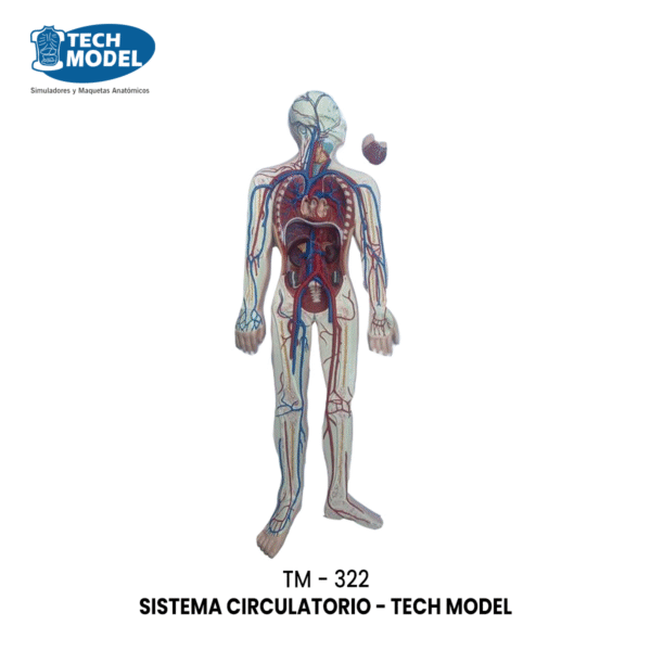TM-322 Circulatory System