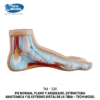 TM-326-2 Flat Foot