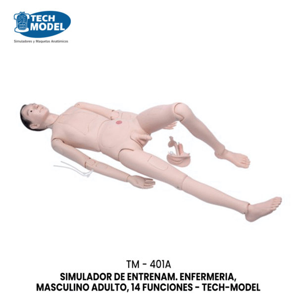 TM-401A-1 New Style High Quality Nurse Training Doll (Male)