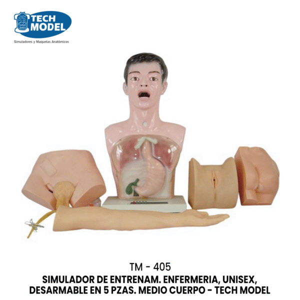 TM-405 TM-405 Nurse Basic Practice Teaching Model