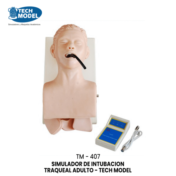 TM-407 Human Trachea lntubation Model