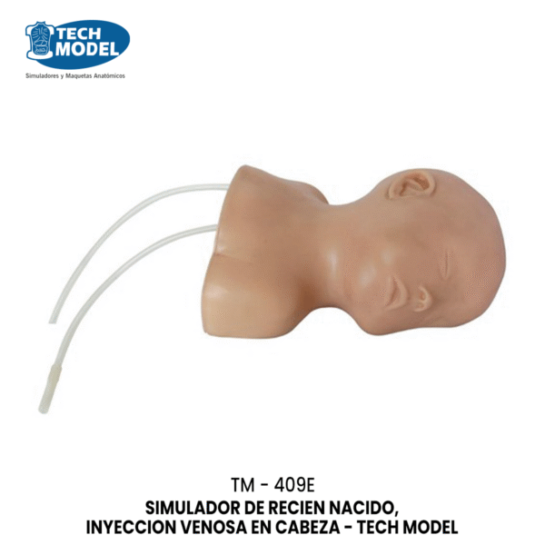 TM-409E Neonate Scalp Venipuncture Model