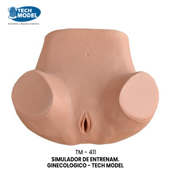 TM-411 Gynecological Training Simulator