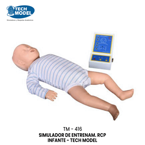 TM-416 Infant CPR Training Model