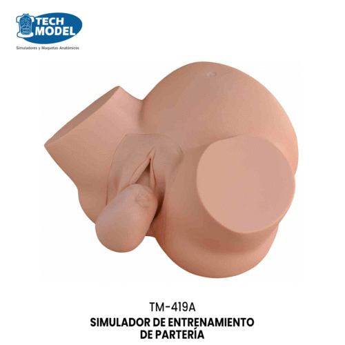 TM-419A Midwifery Training Simulator