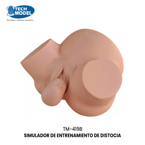 TM-419B Dystocia Training Simulator