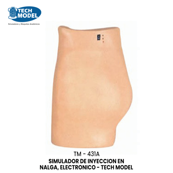 TM-431A Electronic Buttocks Injection Simulator