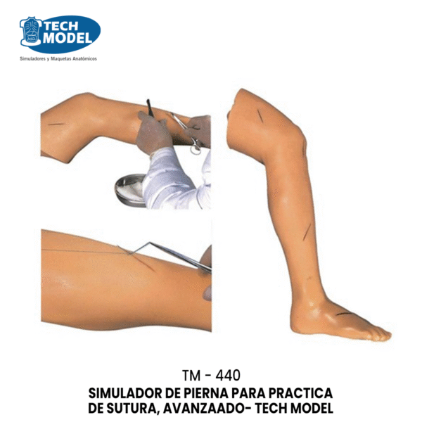 TM-440 Advanced Suture Practice Leg