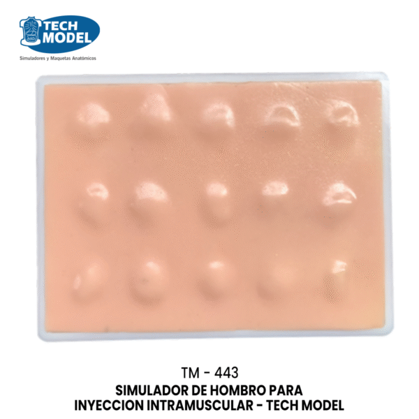 TM-443 Sebaceous Cyst Excision Model