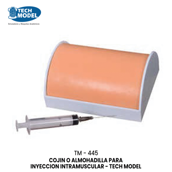 TM-445 Multi-Functional Intramuscular Injection Training Pad