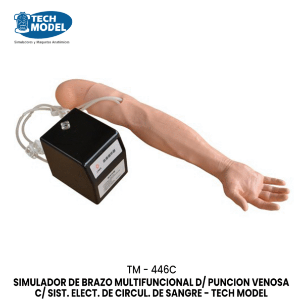 TM-446C Advanced Multi-Functional IV Training Arm with Electric Blood Circle System