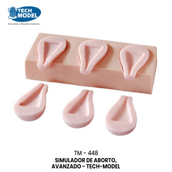 TM-448 Advanced Artificial Abortion Simulated Uterus