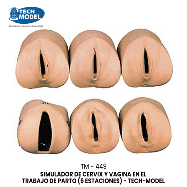 TM-449 Labor Delivery Module
