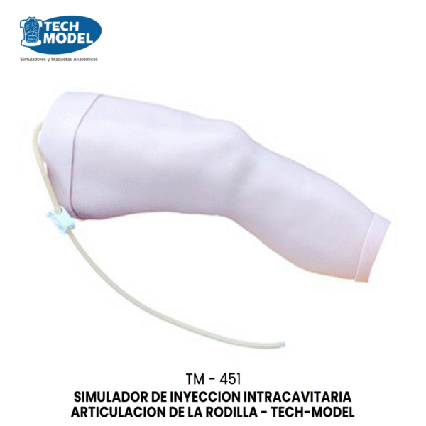 TM-451 TM-451 Knee Joint Intracavitary Injection Model