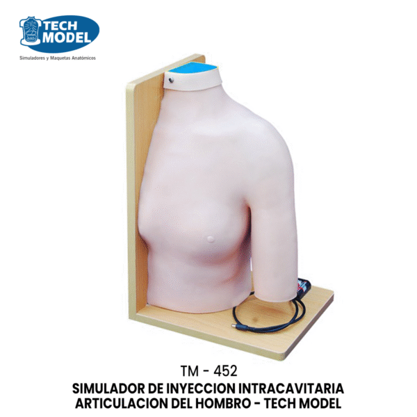 TM-452 TM-452 Shoulder Joint Intracavitary Injection Model