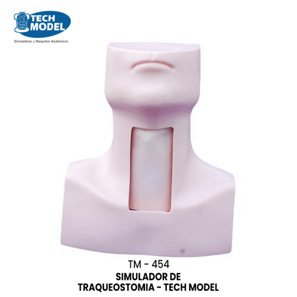 TM-454 Tracheostomy Simulator