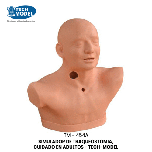 TM-454A Advanced Adult Tracheotomy Care Model