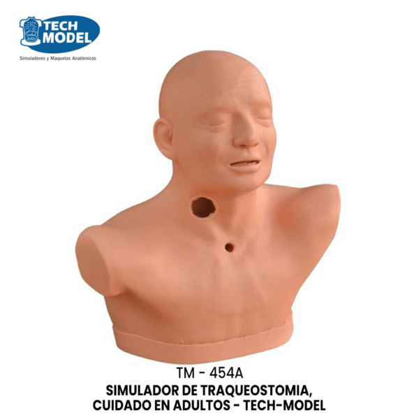 TM-454A Advanced Adult Tracheotomy Care Model
