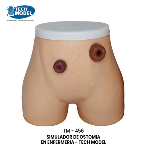 TM-456 Ostomy Nursing Model