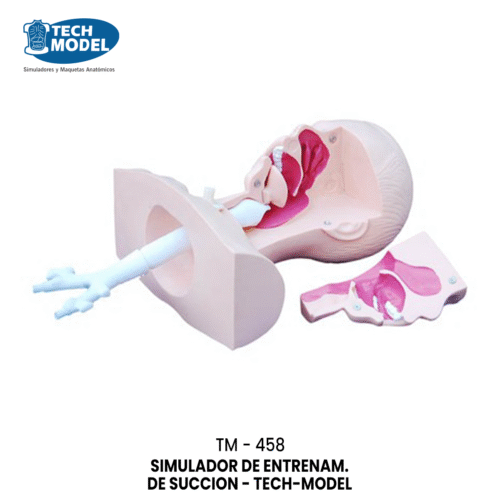 TM-458 Suction Training Model