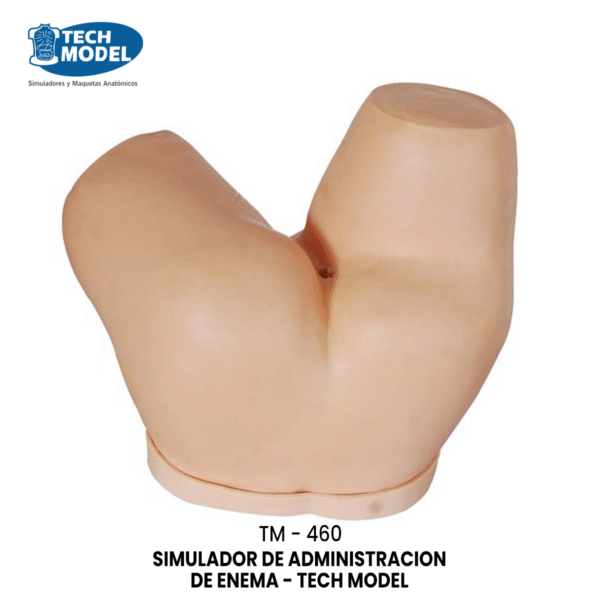 TM-460 TM-460 Enema Administration Simulator