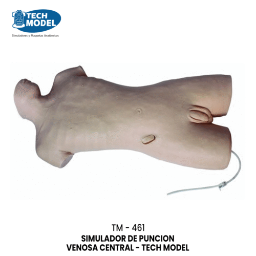 TM-461 Central Venous Puncture Model