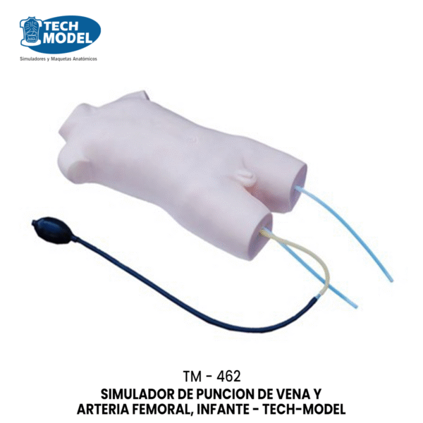 TM-462 Child Femoral Vein and Femoral Artery Puncture Training Model
