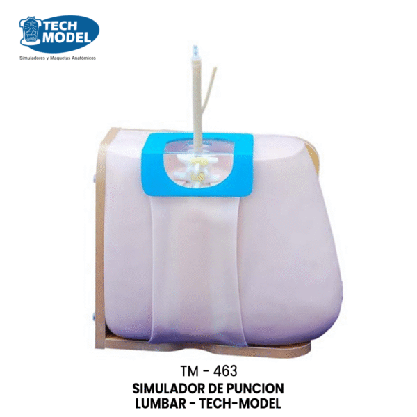 TM-463 Lumbar Puncture Model