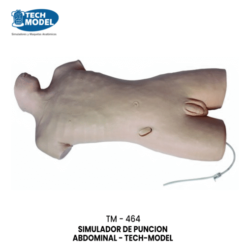 TM-464 Abdominal Puncture Model