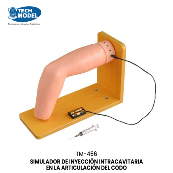 TM-466 Elbow Joint Intracavitary Injection Simulator