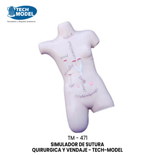 TM-471 Surgical Suture and Bandaging Model