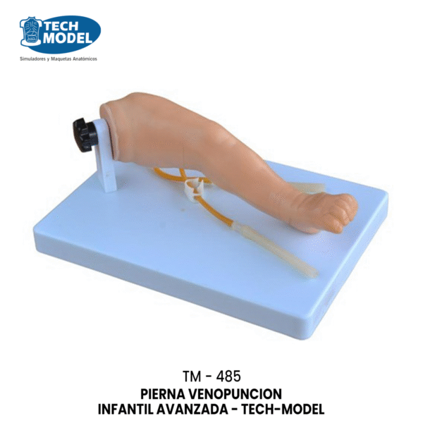 TM-485 Advanced Infant Venipuncture Leg