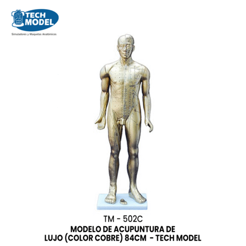 TM-502C Deluxe Acupuncture Model 84CM (COPPER COLOR)