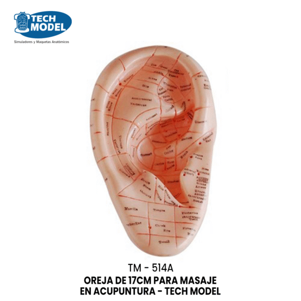 TM-514A TM-514A Massage Ear Model 17CM