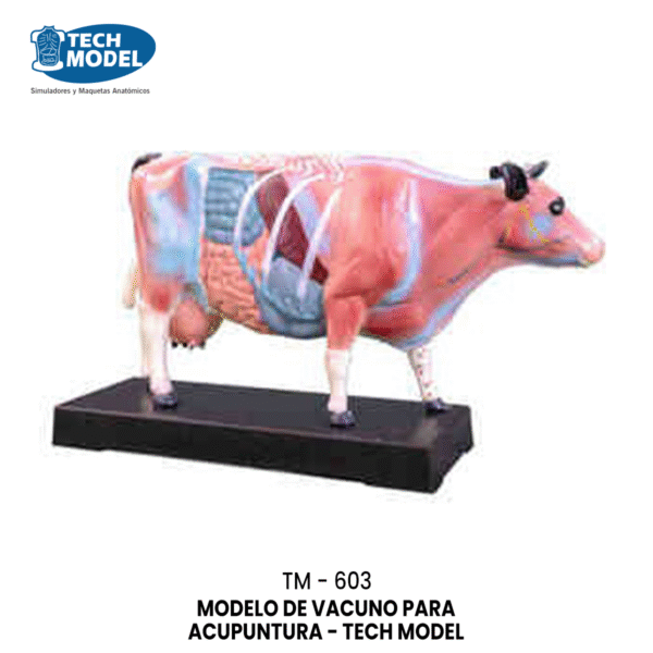 TM-603 Cattle Acupuncture Model