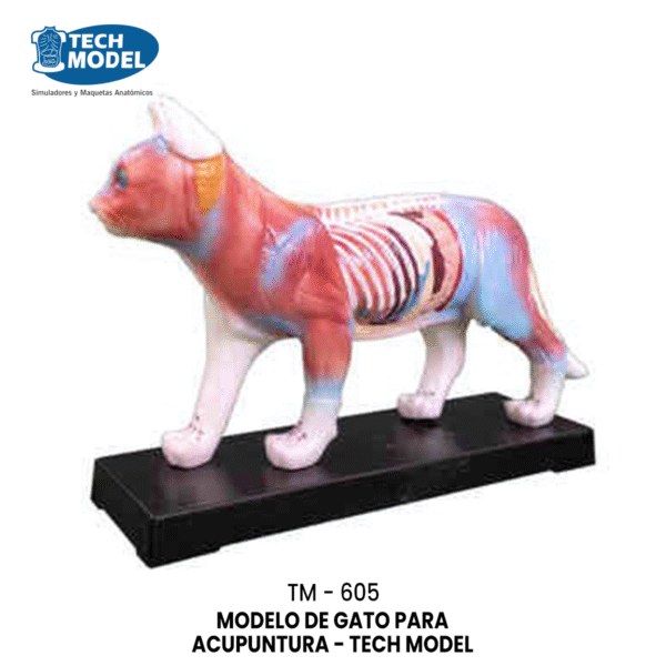 TM-605 TM-605 Cat Acupuncture Model